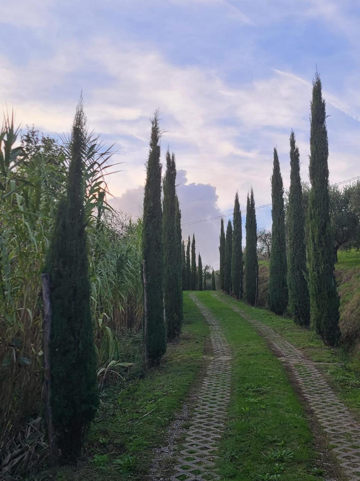 Отель Casale 3 Danesi Colle Di Buggiano Экстерьер фото