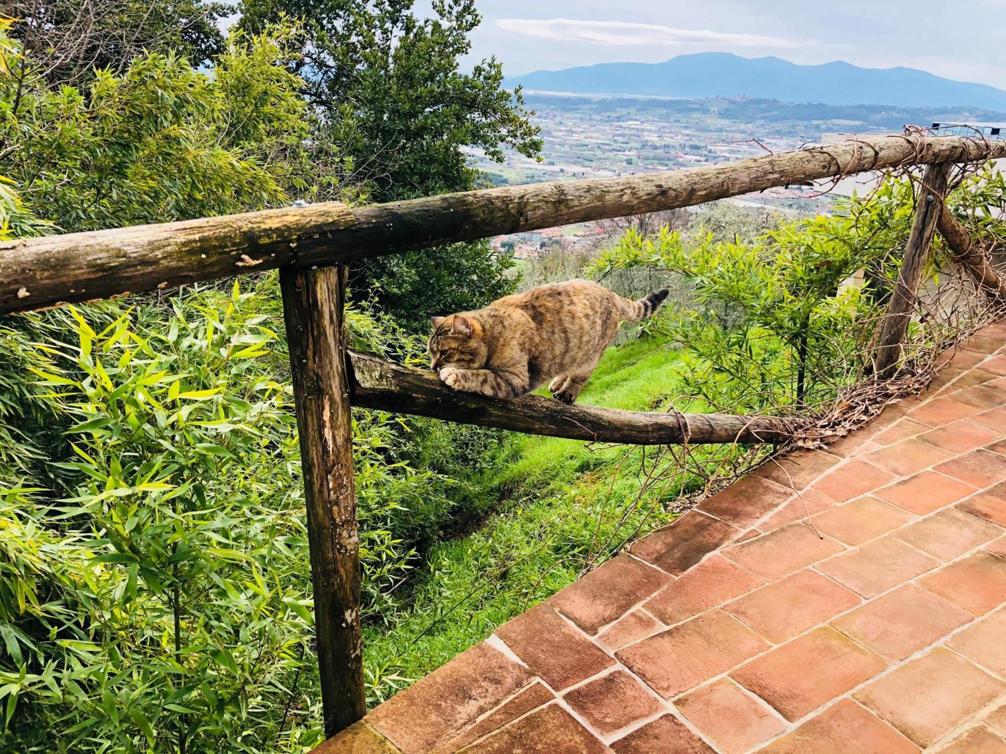 Отель Casale 3 Danesi Colle Di Buggiano Экстерьер фото